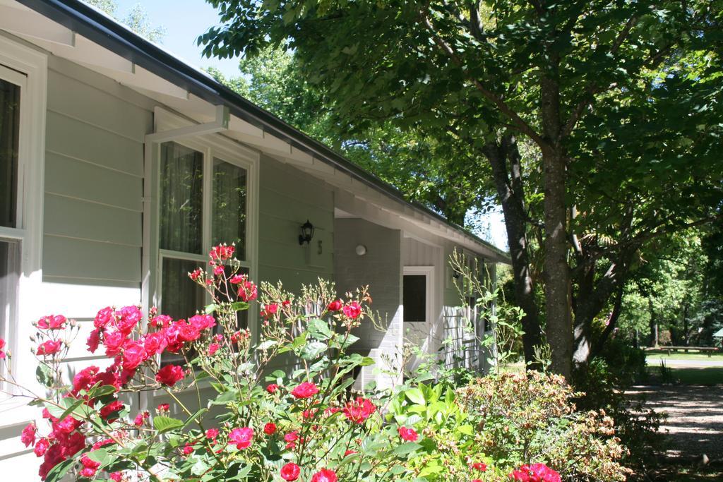 Elm Lodge Bright Ngoại thất bức ảnh