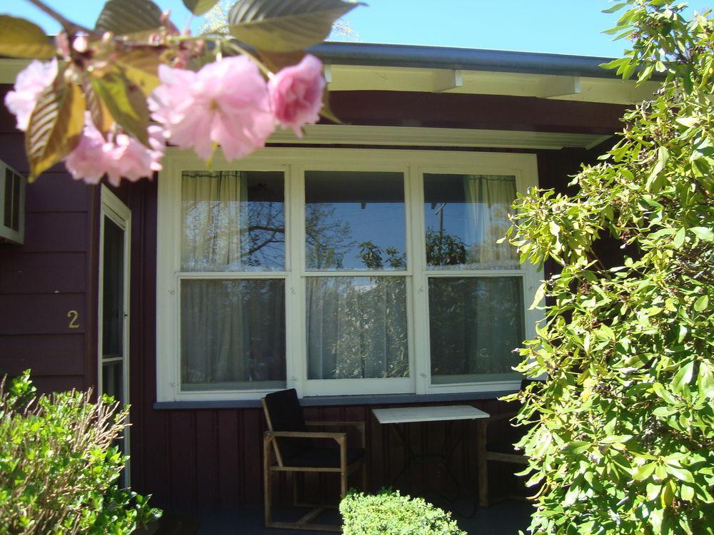 Elm Lodge Bright Ngoại thất bức ảnh
