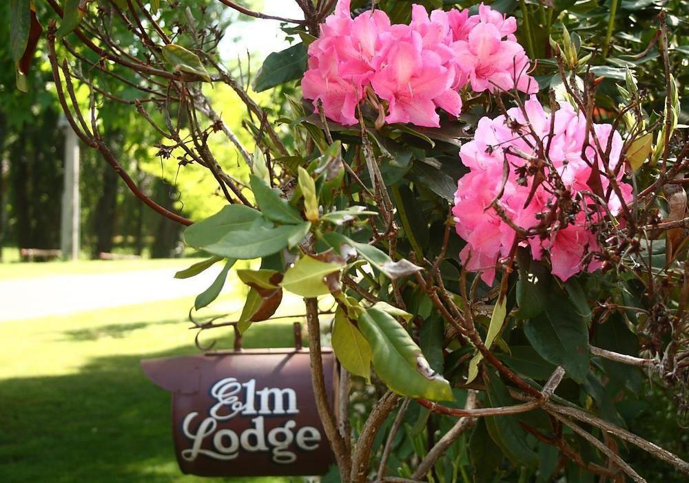 Elm Lodge Bright Ngoại thất bức ảnh